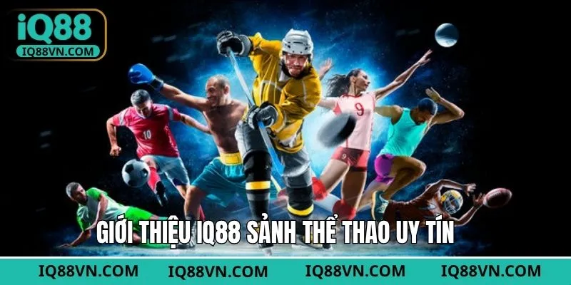 Sảnh thể thao hấp dẫn, kịch tính