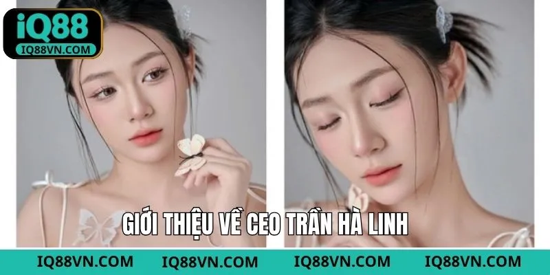Giới thiệu thông tin tiểu sử CEO Trần Hà Linh