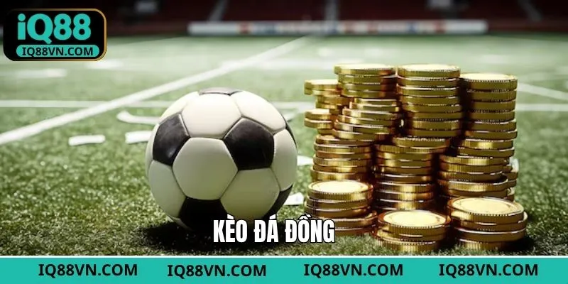 Kèo Đá Đồng - Kiến Thức Cơ Bản Cần Nắm Khi Cá Cược Tại IQ88