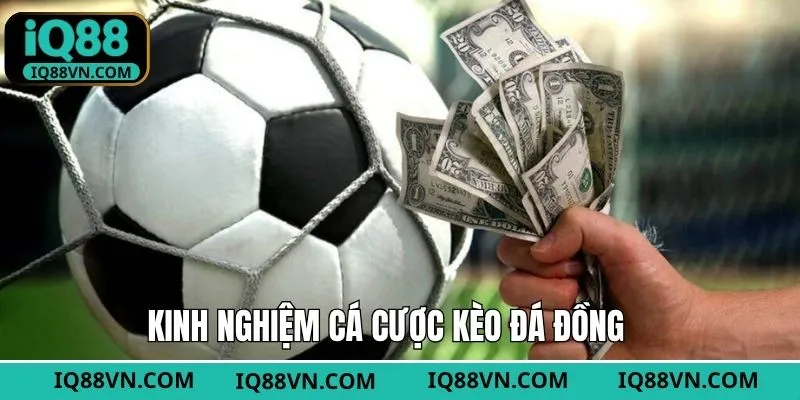 Kinh nghiệm theo dõi tỷ lệ kèo trên hệ thống