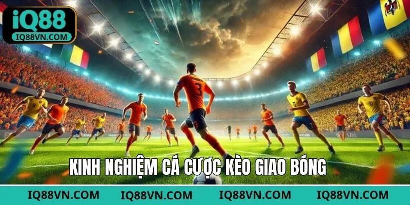 Phân chia vốn cược hiệu quả dự đoán giao bóng