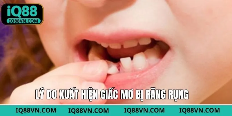 Tìm hiểu lý do xuất hiện và ý nghĩa của việc mơ thấy răng rụng