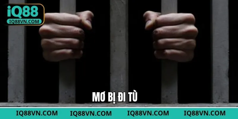 Mơ Bị Đi Tù - Tìm Hiểu Sự Thật Từ Chiêm Bao Cùng Với IQ88