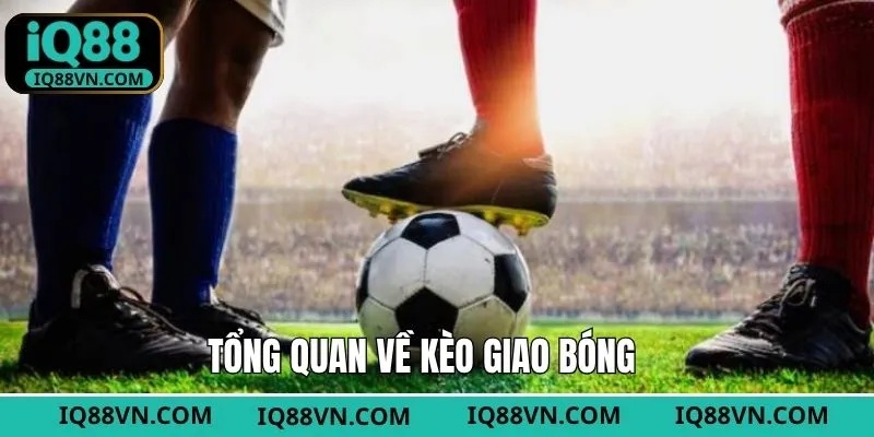 Dự đoán đội giao bóng đơn giản