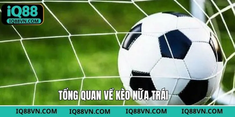 Tổng quan về kèo 0.5 thu hút người chơi