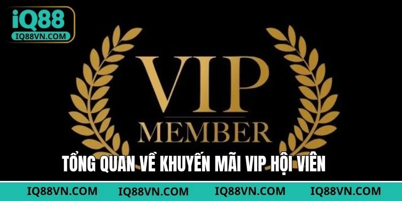 Nét chính tổng quan về ưu đãi riêng của VIP