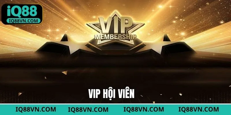 VIP Hội Viên - Nhiều Ưu Đãi Độc Quyền Đặc Biệt Tại IQ88 